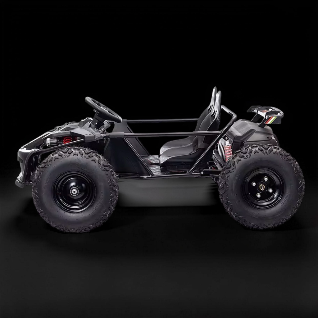 2026 XXXXL Premium Performance Kids Electric Dune Buggy – 2 Seater (Ages 8–15), 800W Brushless Motor, Metal Frame, Off-Road Air Tires, Dual Disk Brakes, Key Speed Governor & Bluetooth Speakers